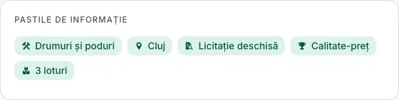 Pastilele de informație verde-mentă: „Drumuri și poduri”, „Cluj”, „Licitație deschisă”, „Calitate-preț”, „3 loturi”.